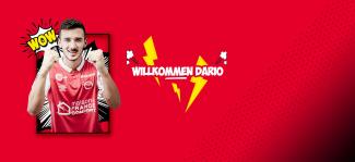 Dario