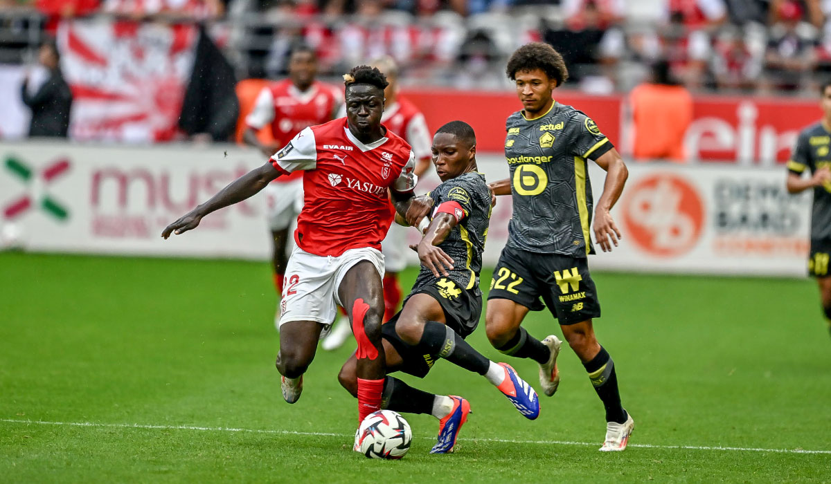 SDR-LOSC