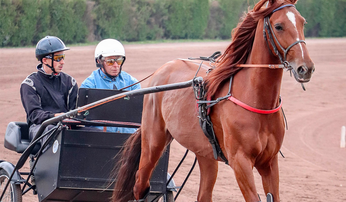 Hippodrome de Reims Stade de Reims